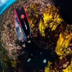 Palmes Seac Motus Camo Carbon -Nautiques Sports Magasin palmes seac motus camo carbon 3